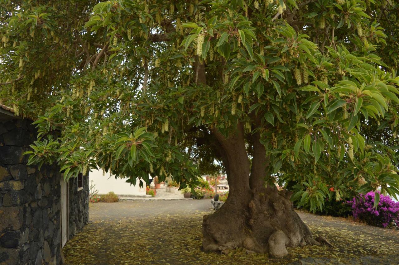 Casona Rural Los Melindros Los Quemados Zewnętrze zdjęcie